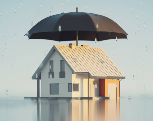 Property Insurance
